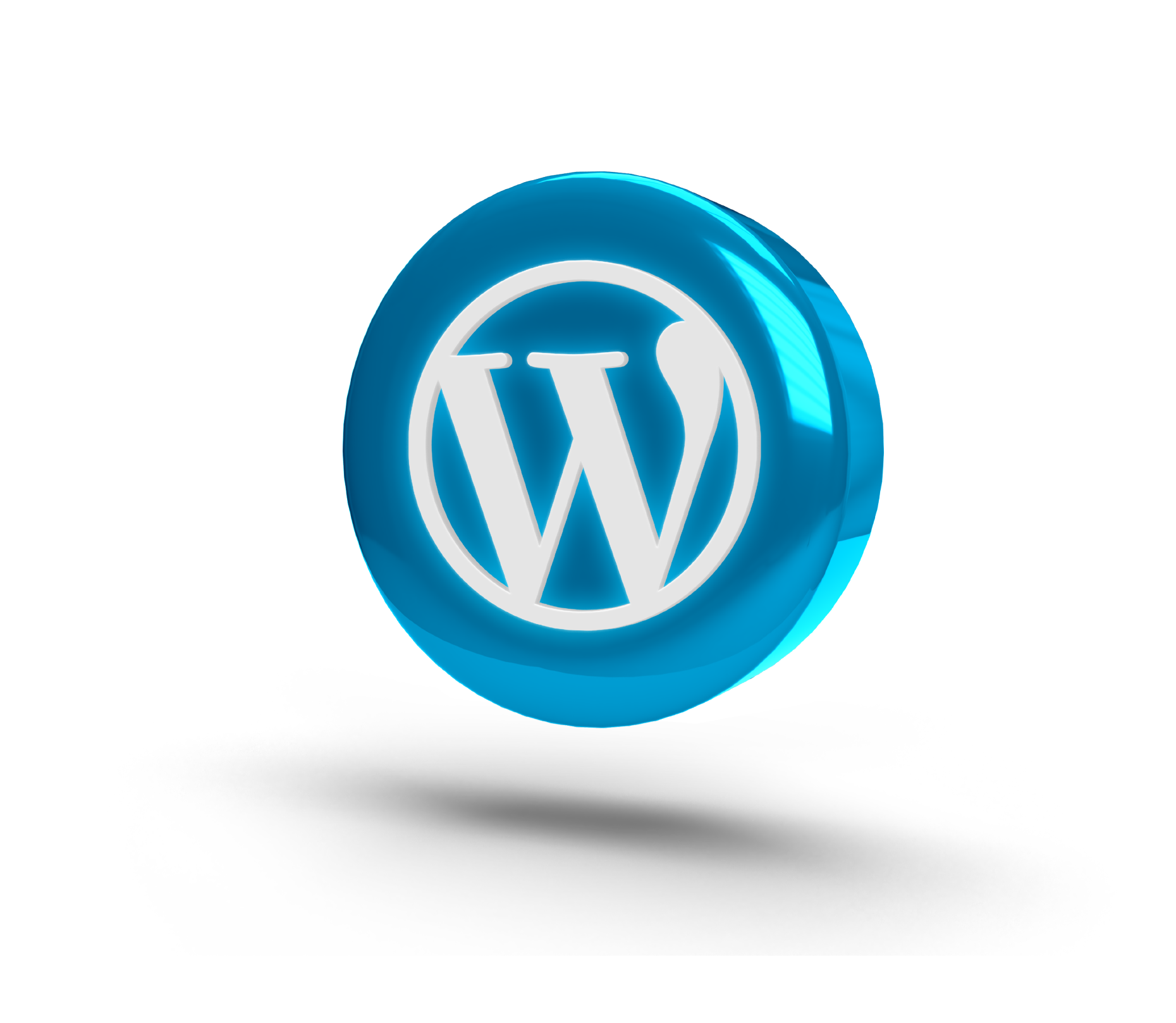 WordPress Development